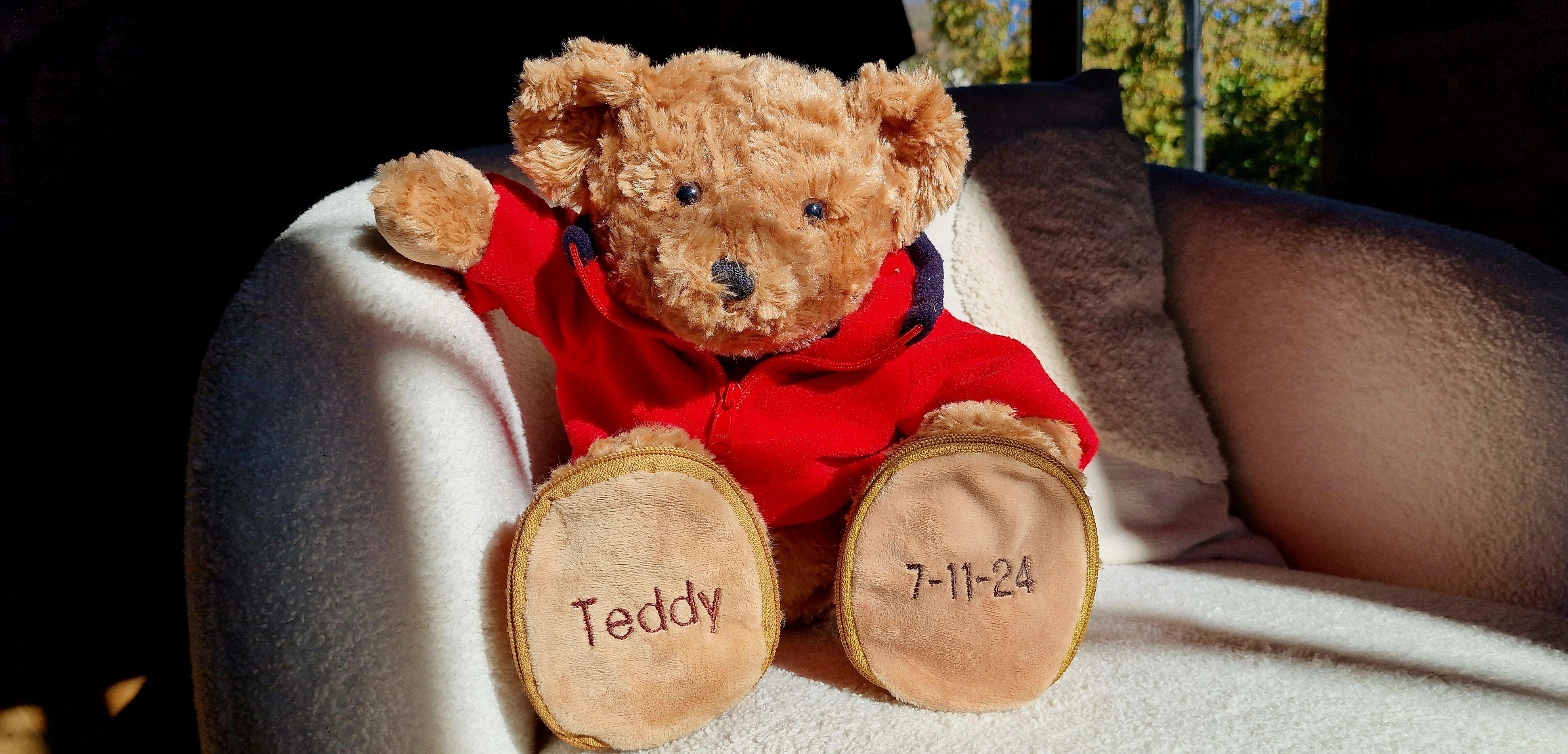 Ourson personnalisé - Cadeau de naissance original avec peluche et prénom